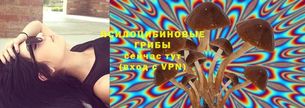 мдпв Кукмор